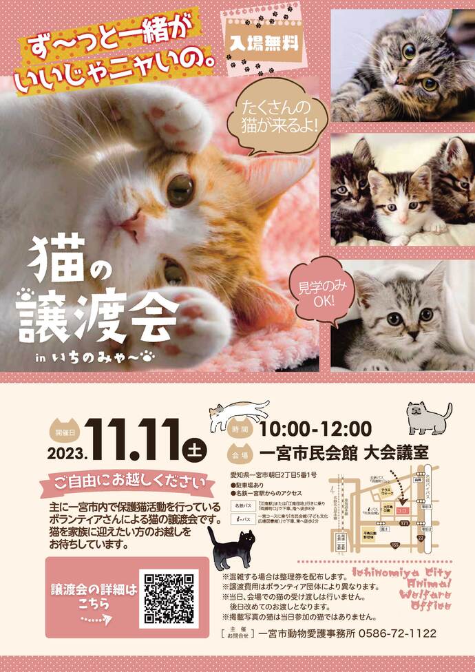猫の譲渡会のチラシ