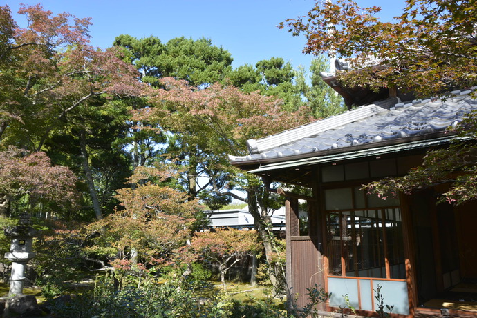 2023年10月28日の庭園