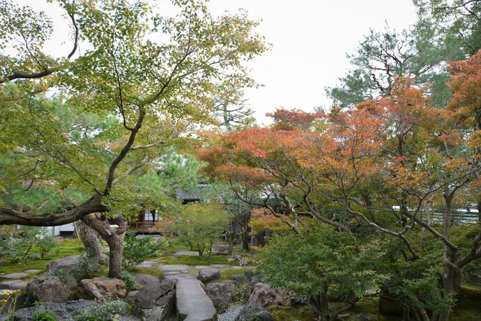 2023年11月12日の庭園