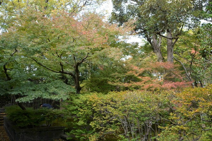 2023年11月12日の庭園