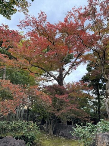 2023年11月18日の庭園