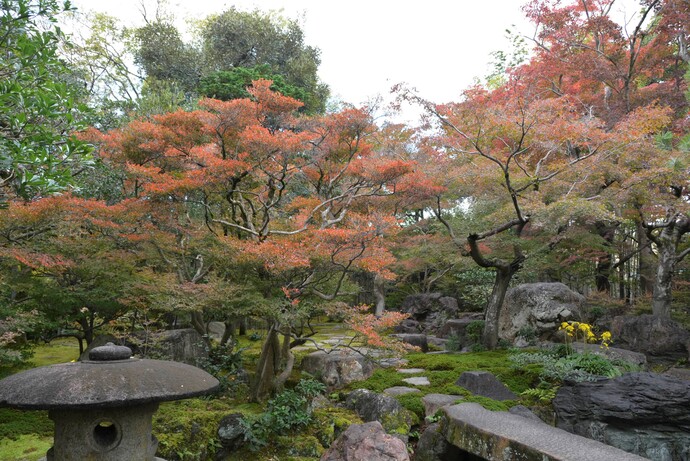 2023年11月18日の庭園