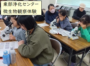 微生物観察体験