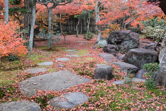 2023年12月7日の庭園