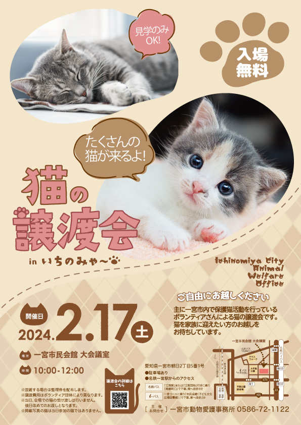 2月17日猫の譲渡会チラシ画像