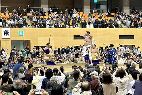 大相撲一宮場所の写真