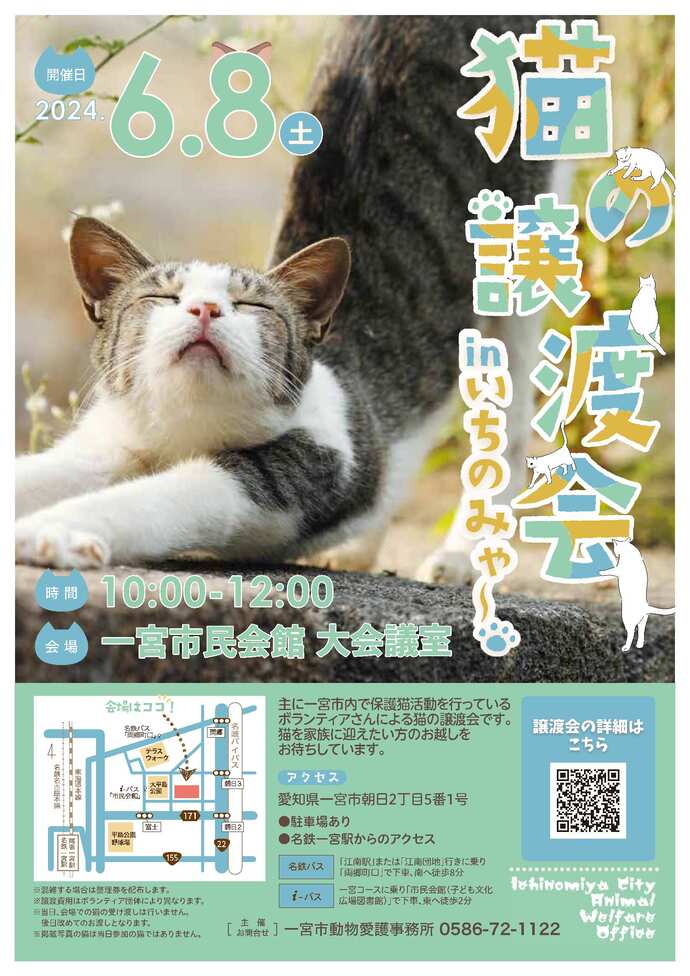 猫の譲渡会のチラシ画像