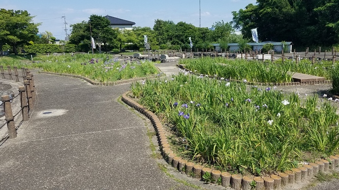 20190528
