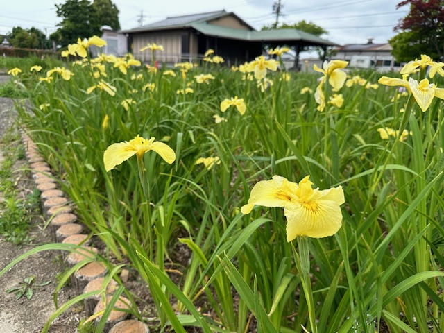 20190528
