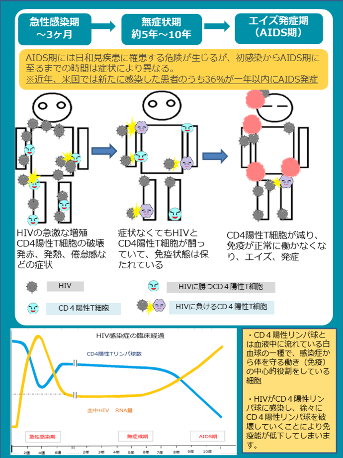 レッドリボンについて