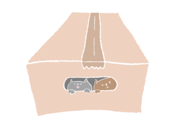 捨て猫