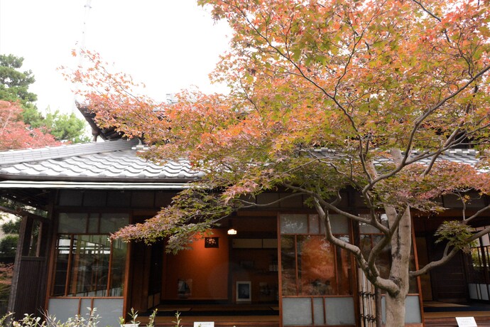 11月21日の庭園の様子2