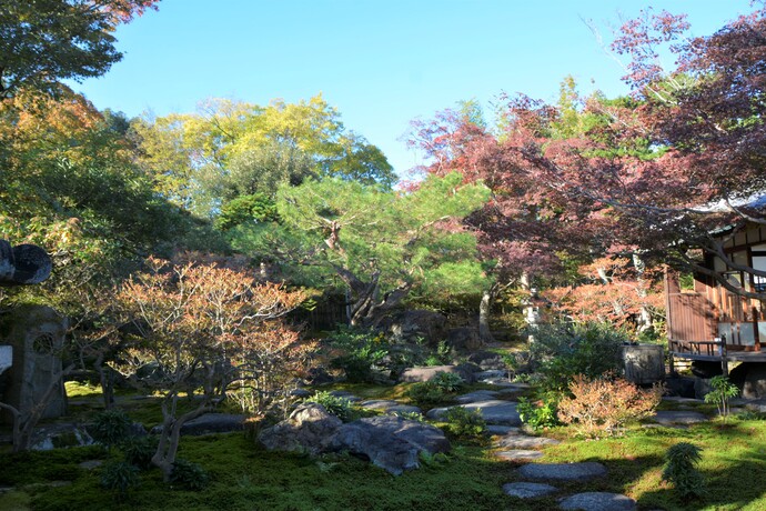 2024年11月24日の旧林氏庭園の写真1