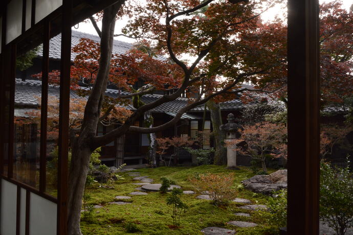 2024年11月27日の庭園の様子2