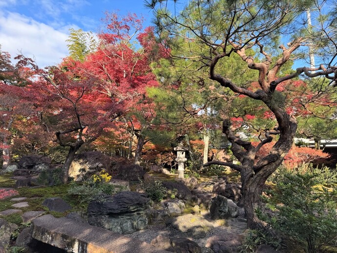 2024年12月1日の庭園の様子2