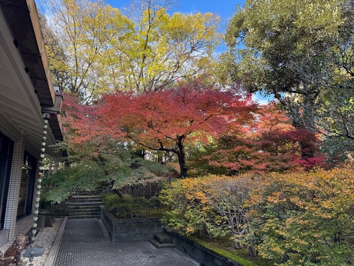 2024年12月1日の庭園の様子3