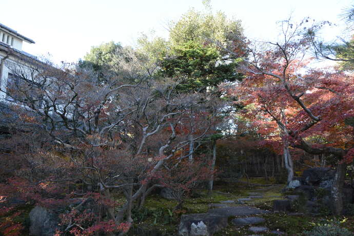 2024年12月10日の旧林氏庭園の写真2