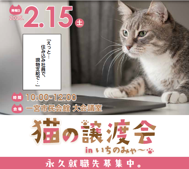 チラシの画像