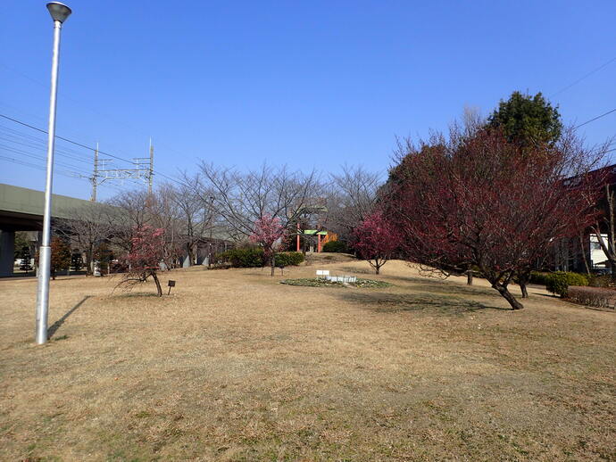 ume22