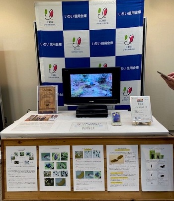 いちい信用金庫