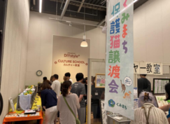 過去の譲渡会写真