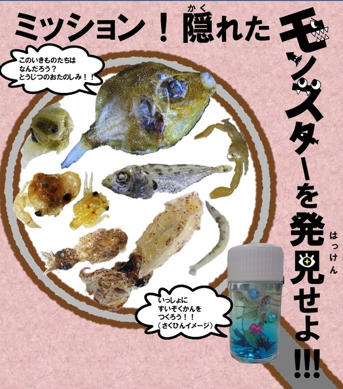 チリメンモンスターと寒天標本の写真