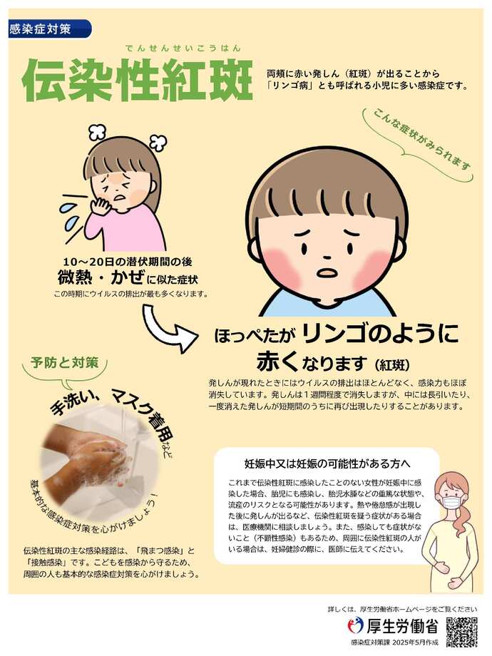 伝染性紅斑パンフレット