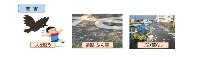 調査目的イメージ図