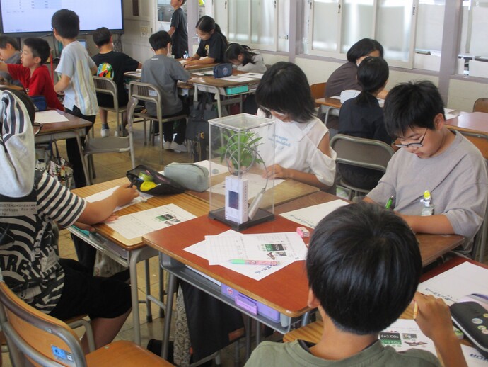 実験の様子