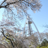 一宮市公園緑地課公式アカウントのプロフィール画像