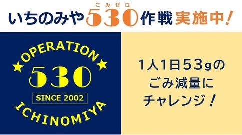 いちのみや530作戦