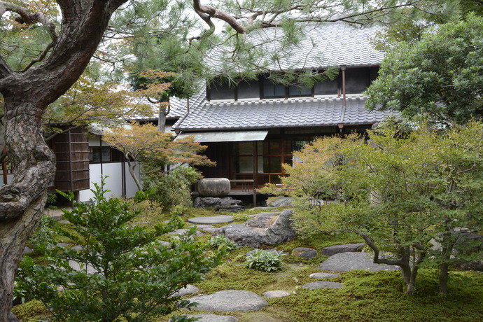 写真：旧林家住宅を背景に、松や一部赤くなったドウダンツツジが写っている。