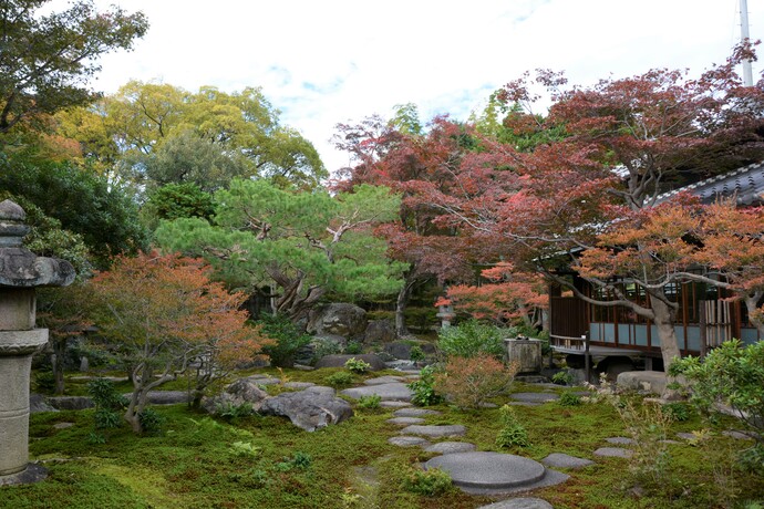 写真：旧林氏庭園。ドウダンツツジとモミジが紅葉している。