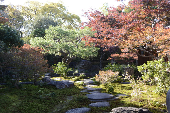写真：11月16日の旧林氏庭園