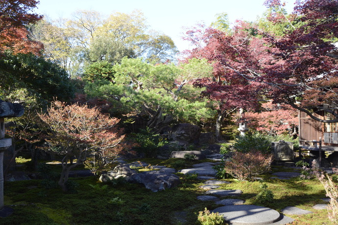 写真：11月22日の旧林氏庭園。紅葉している。