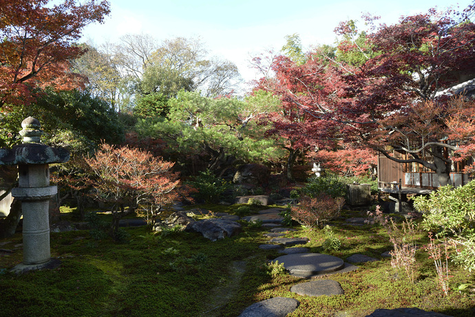 写真：11月22日の旧林氏庭園。紅葉している。