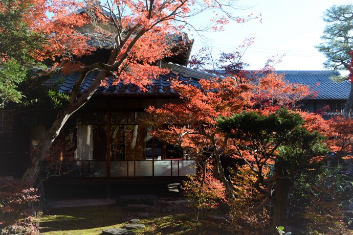写真：紅葉と旧林家住宅