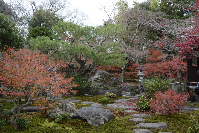 写真：12月4日の旧林氏庭園。もみじの葉がほとんど落ちている。