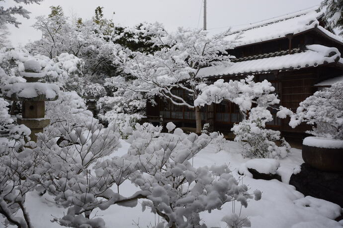 写真：雪化粧した旧林氏庭園