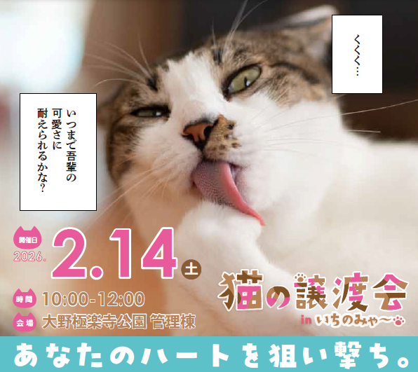 猫譲渡会チラシの画像