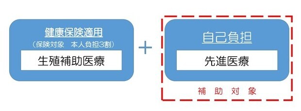 補助対象となる治療