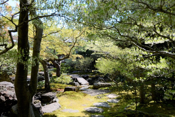 2026年4月8日の旧林氏庭園の様子