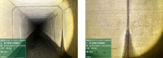 全国特別重点調査