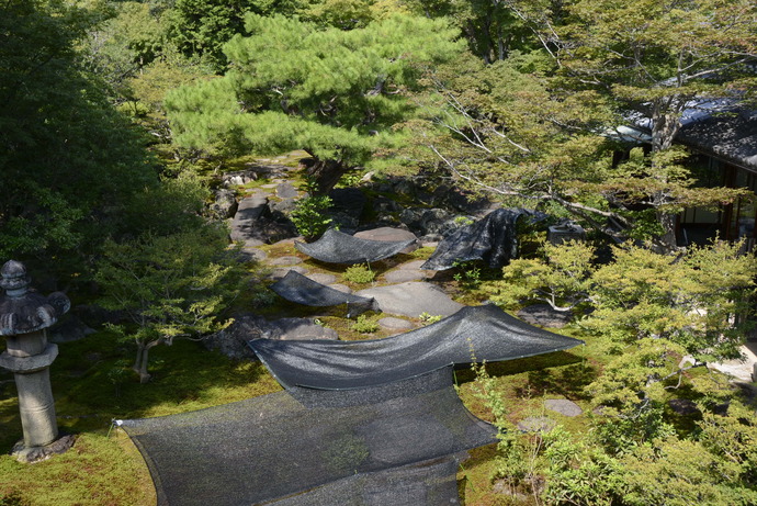 写真：庭園の苔の上に黒い日よけシートを被せている。