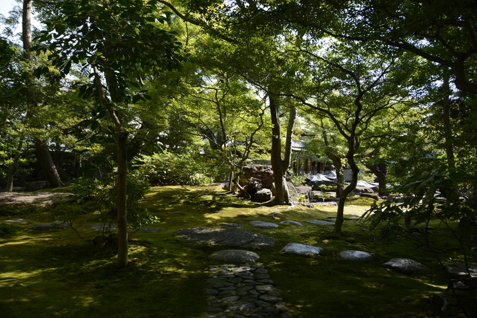 写真：庭園