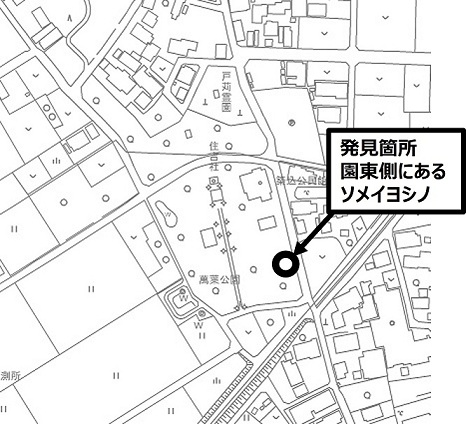 萬葉公園
