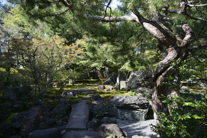 旧林氏庭園の写真