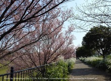 大野極楽寺公園