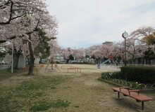 橋呑公園(はしのみこうえん)