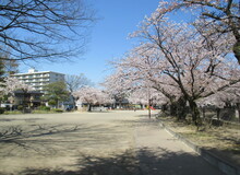 大乗公園